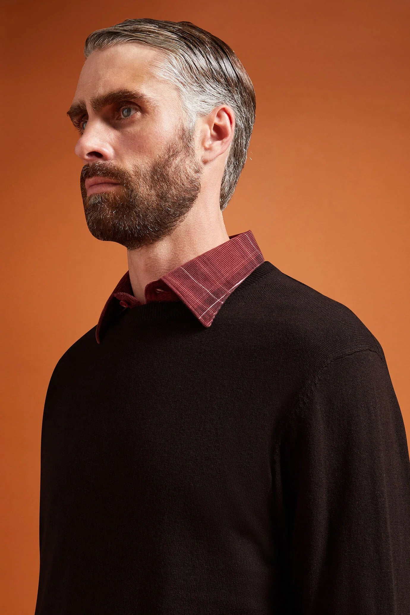 Men's regular fit crew neck jumper in wool and cotton