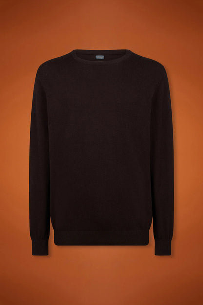 Men's regular fit crew neck jumper in wool and cotton