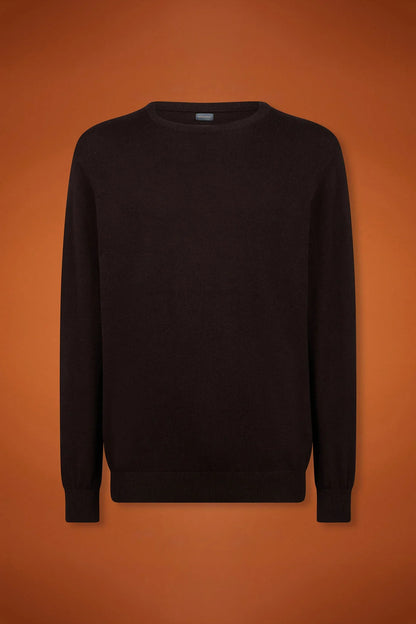 Men's regular fit crew neck jumper in wool and cotton