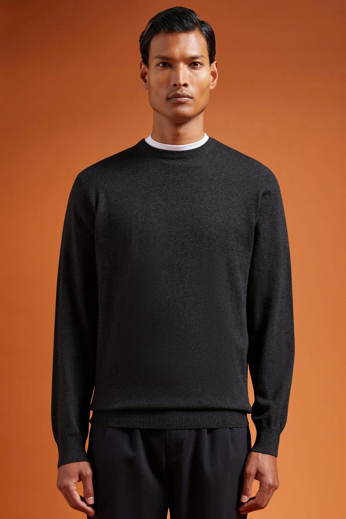 Men's regular fit crew neck jumper in wool and cotton