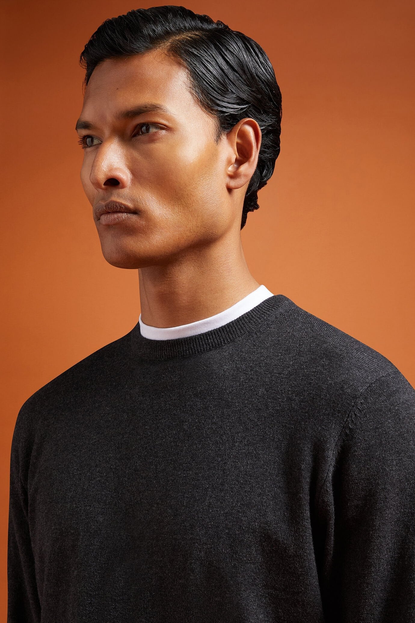 Men's regular fit crew neck jumper in wool and cotton