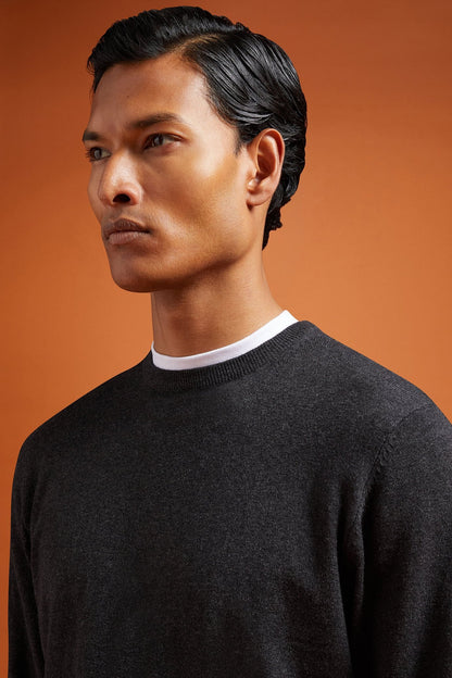 Men's regular fit crew neck jumper in wool and cotton