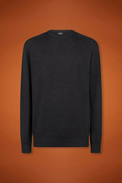 Men's regular fit crew neck jumper in wool and cotton