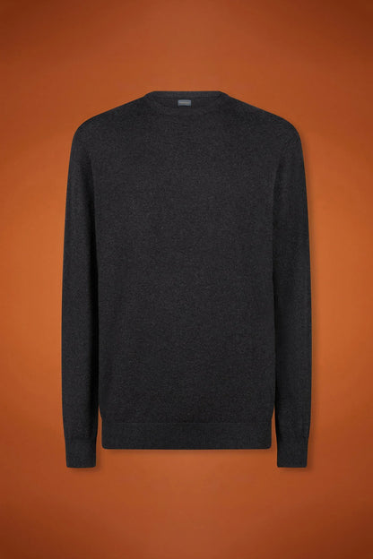 Men's regular fit crew neck jumper in wool and cotton