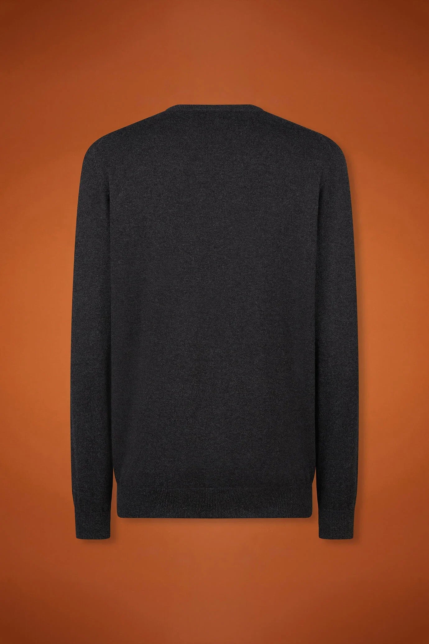 Men's regular fit crew neck jumper in wool and cotton