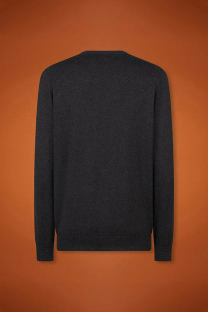 Men's regular fit crew neck jumper in wool and cotton