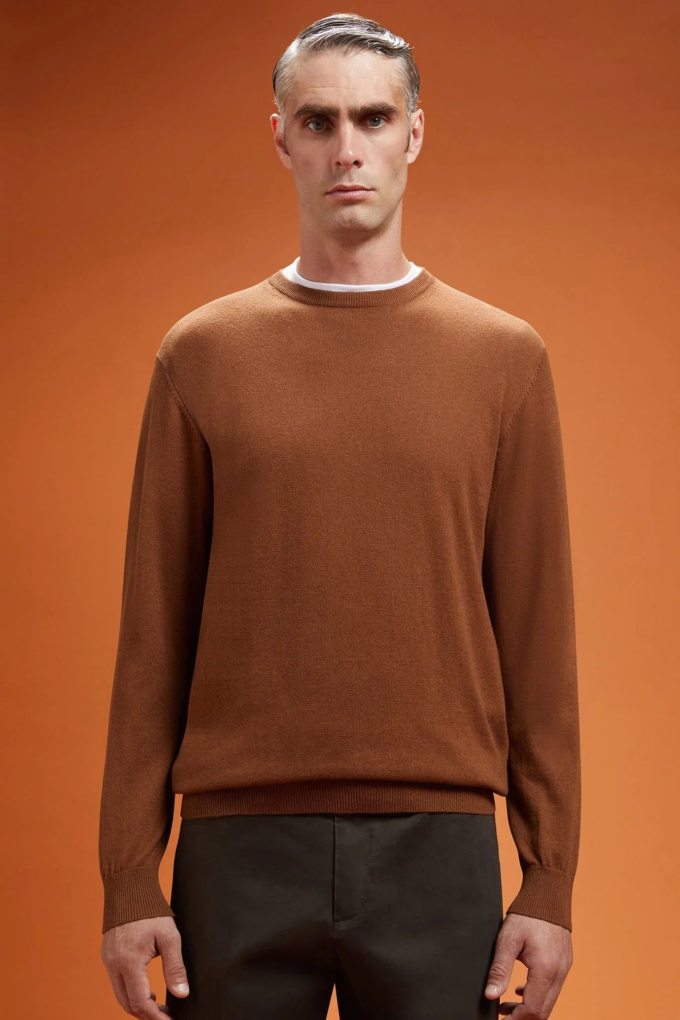 Men's regular fit crew neck jumper in wool and cotton