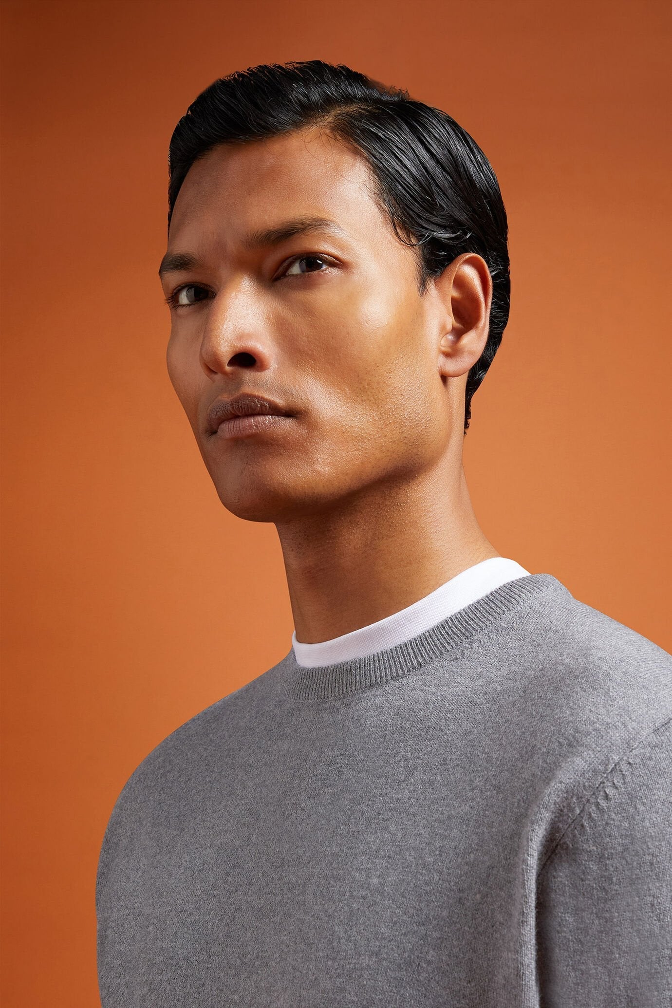 Men's regular fit crew neck jumper in wool and cotton
