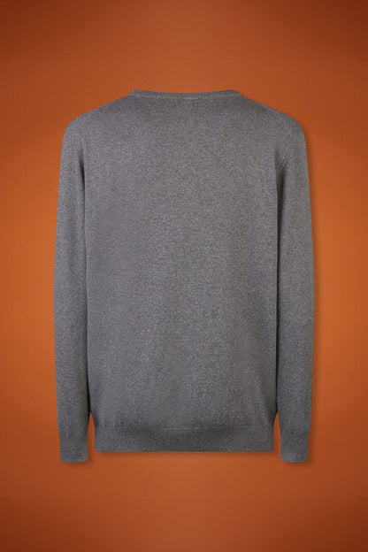 Men's regular fit crew neck jumper in wool and cotton