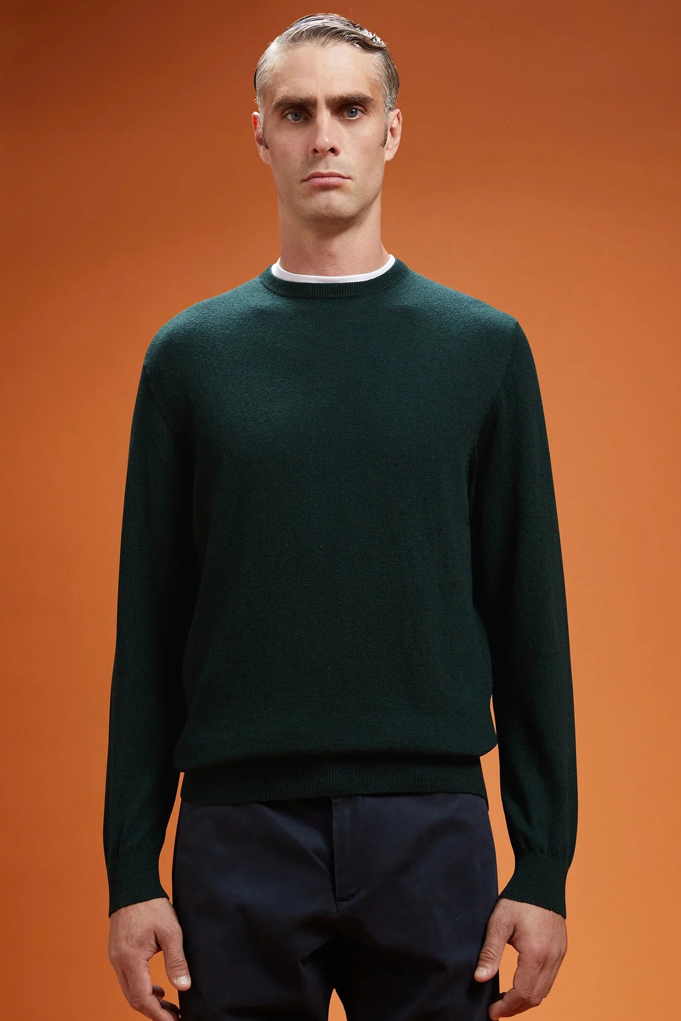Men's regular fit crew neck jumper in wool and cotton
