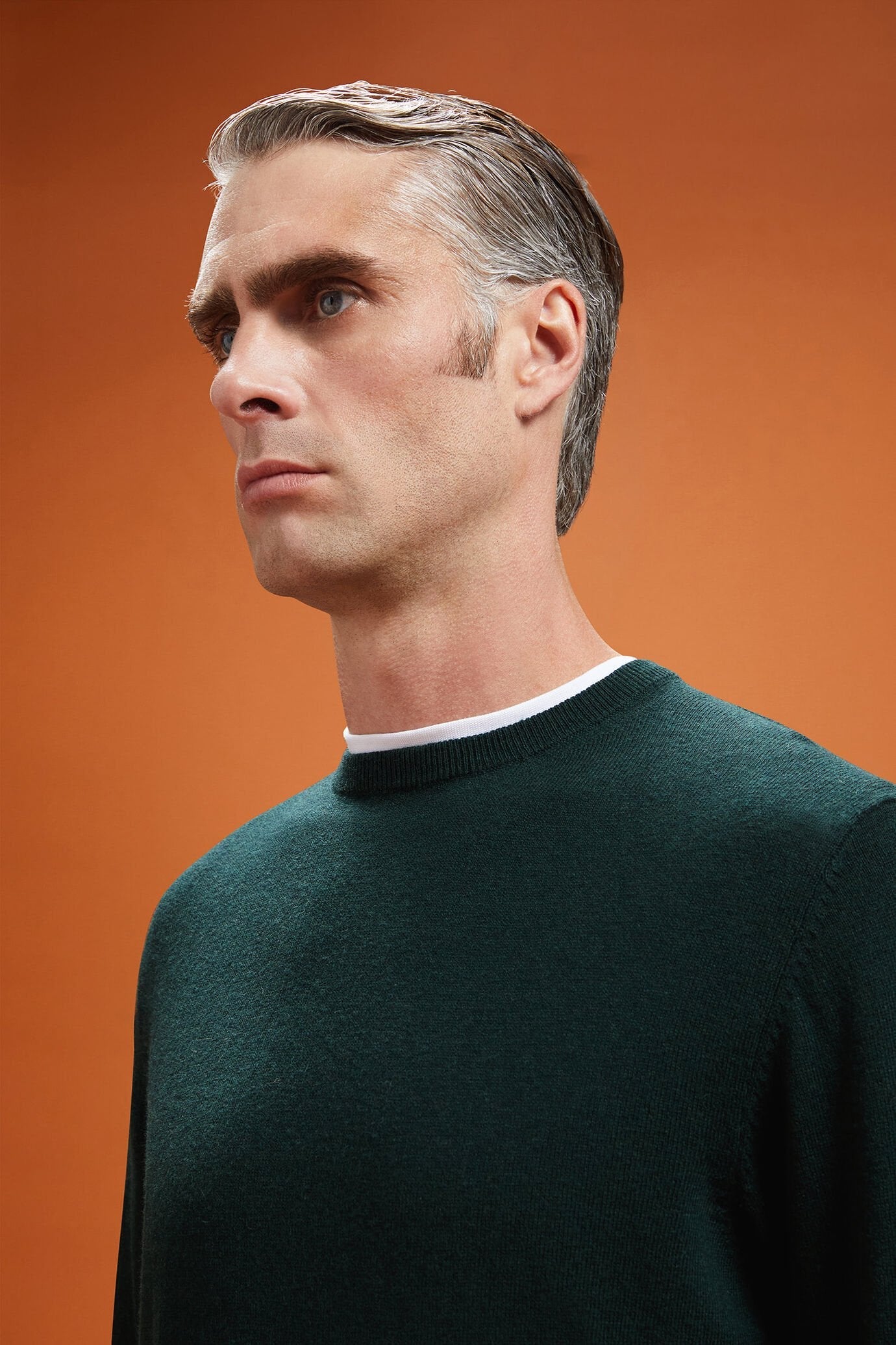 Men's regular fit crew neck jumper in wool and cotton
