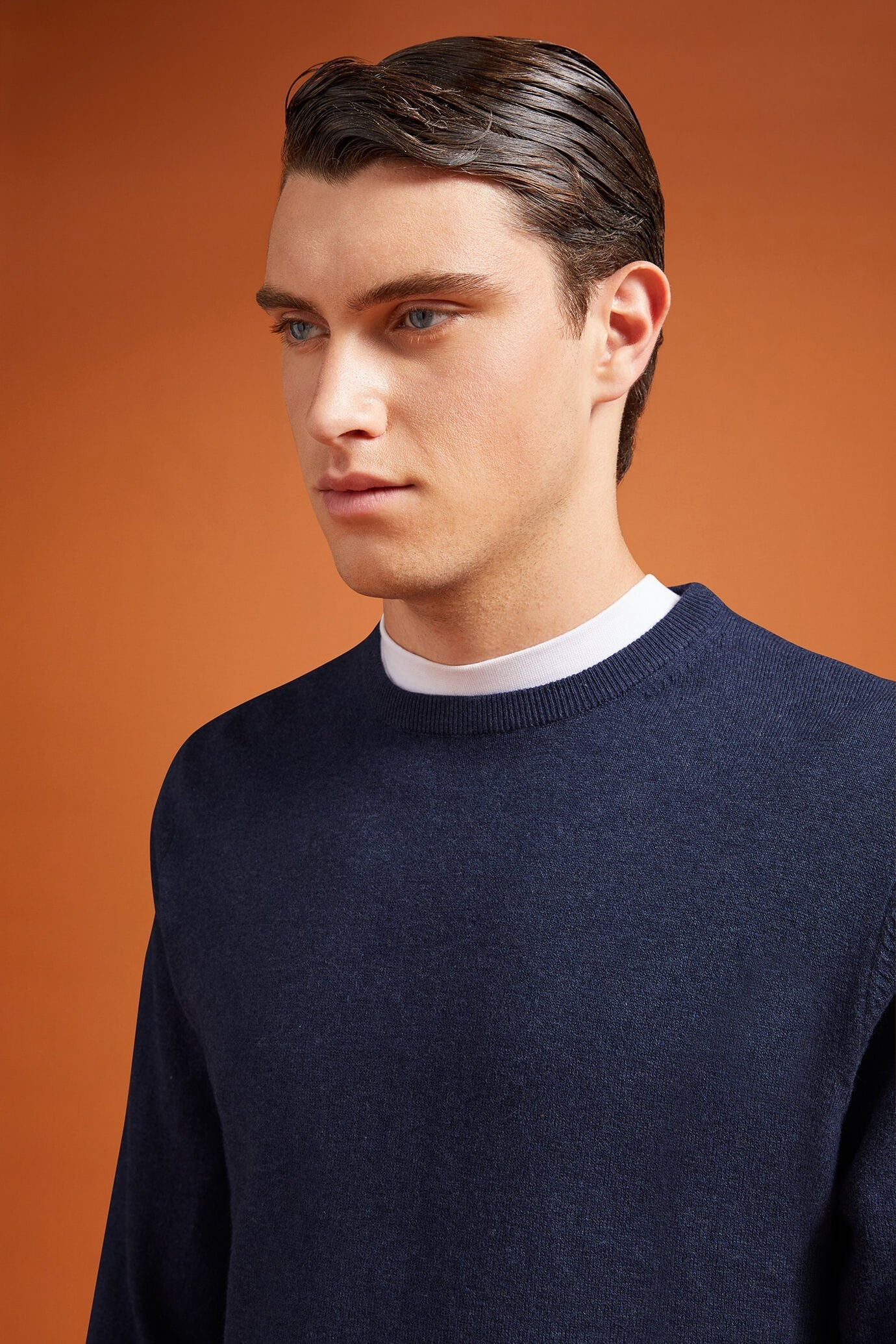 Men's regular fit crew neck jumper in wool and cotton
