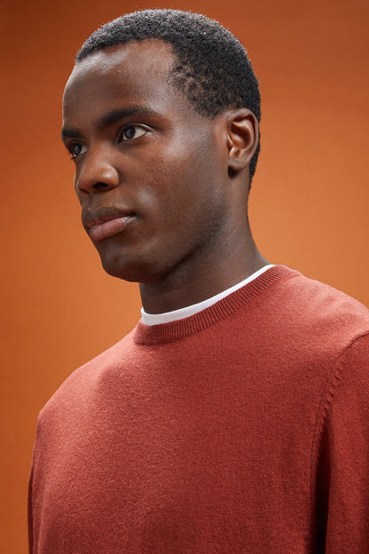 Men's regular fit crew neck jumper in wool and cotton