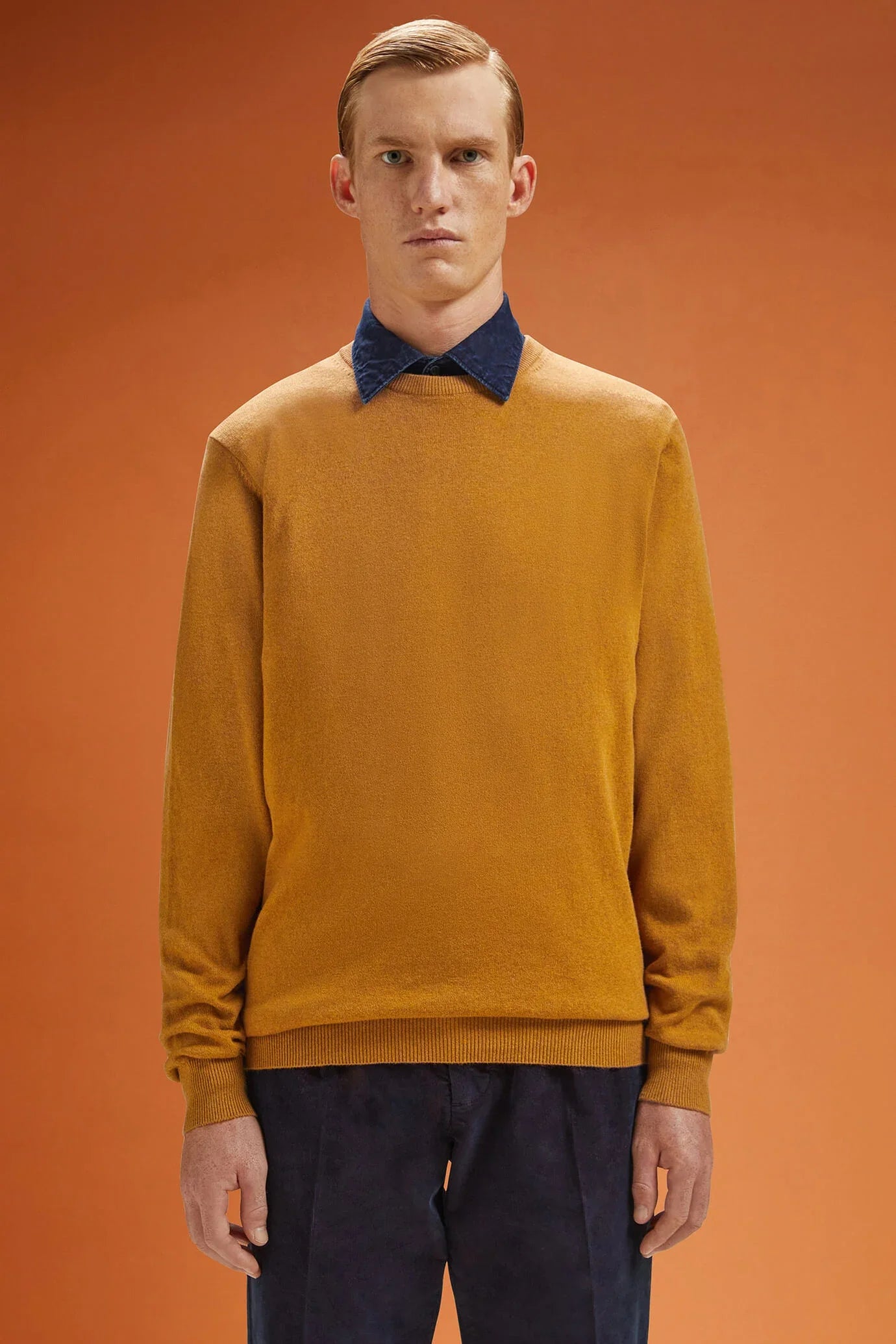 Men's regular fit crew neck jumper in wool and cotton
