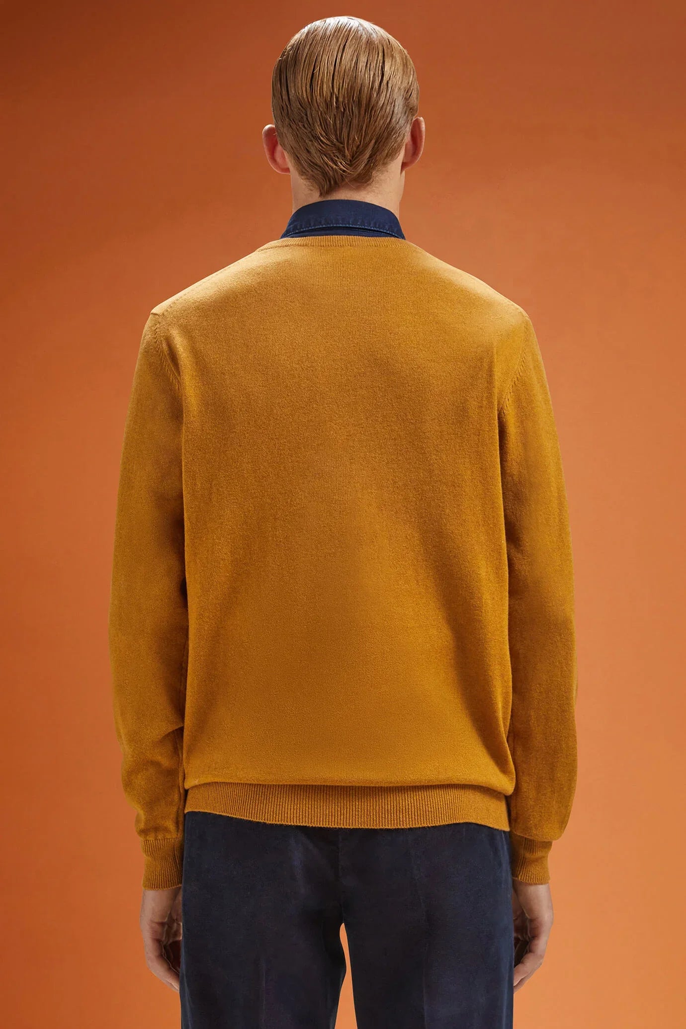Men's regular fit crew neck jumper in wool and cotton
