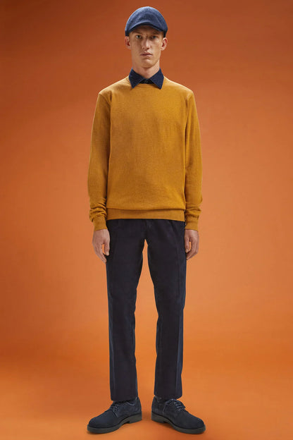 Men's regular fit crew neck jumper in wool and cotton