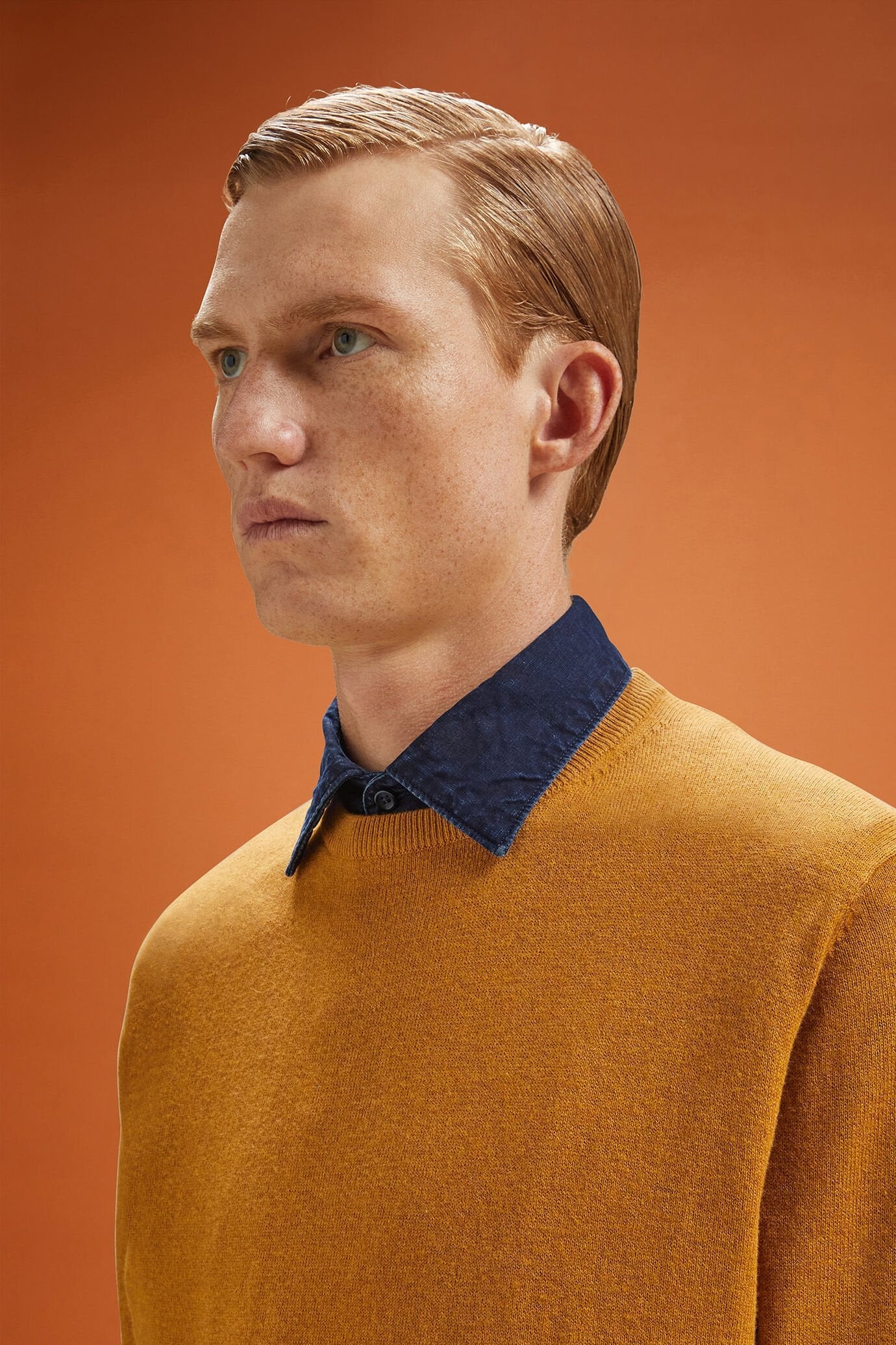Men's regular fit crew neck jumper in wool and cotton