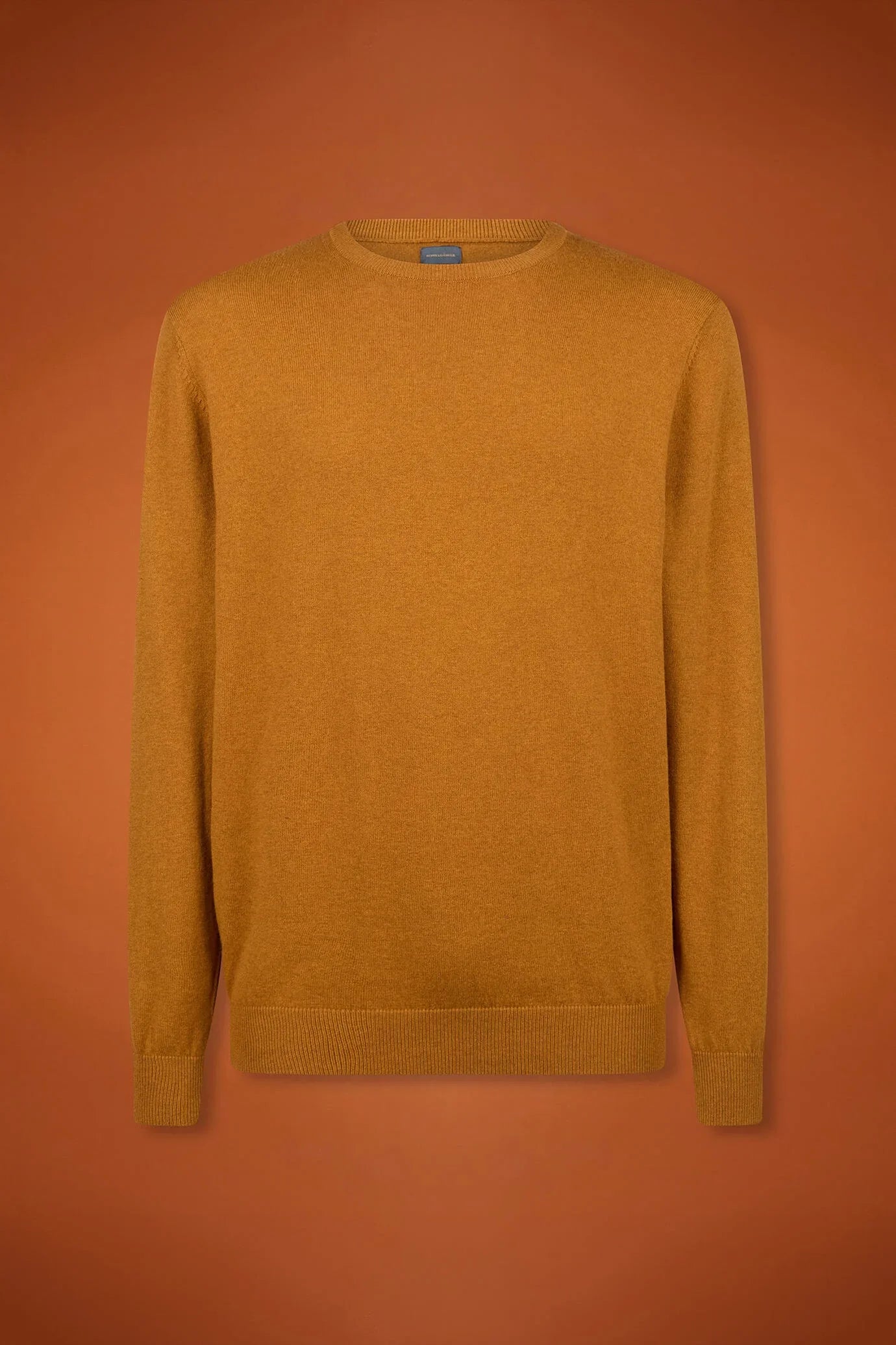 Men's regular fit crew neck jumper in wool and cotton
