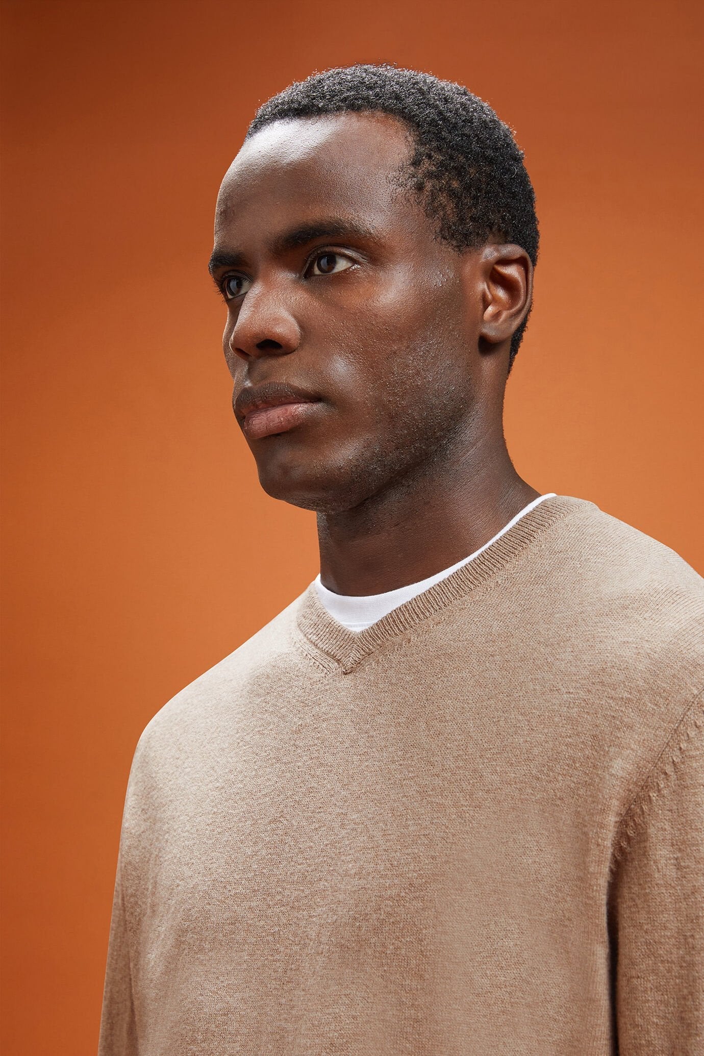 Men's regular fit V-neck jumper in wool and cotton