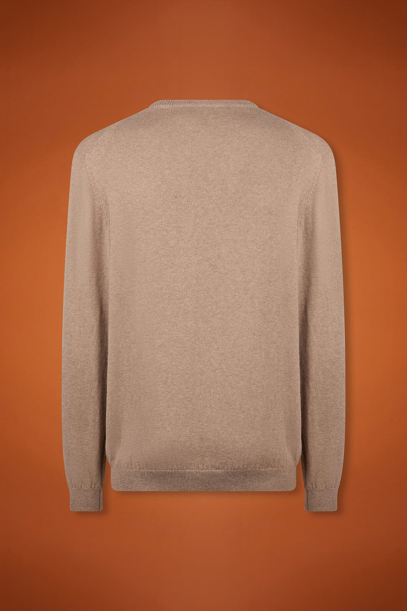 Men's regular fit V-neck jumper in wool and cotton