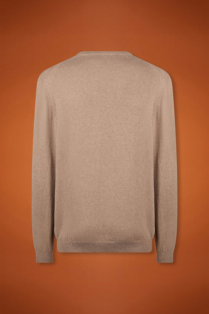 Men's regular fit V-neck jumper in wool and cotton