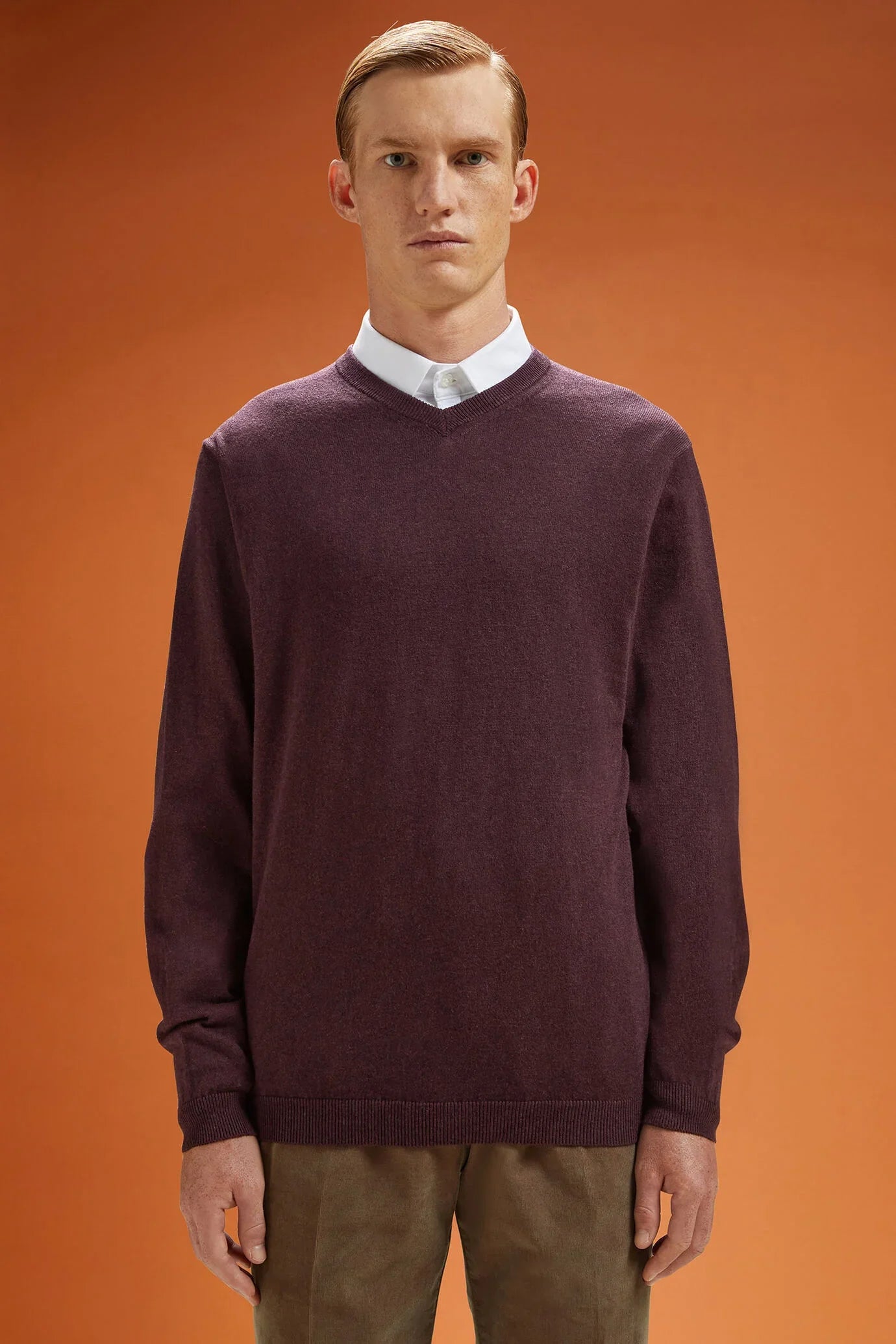 Men's regular fit V-neck jumper in wool and cotton