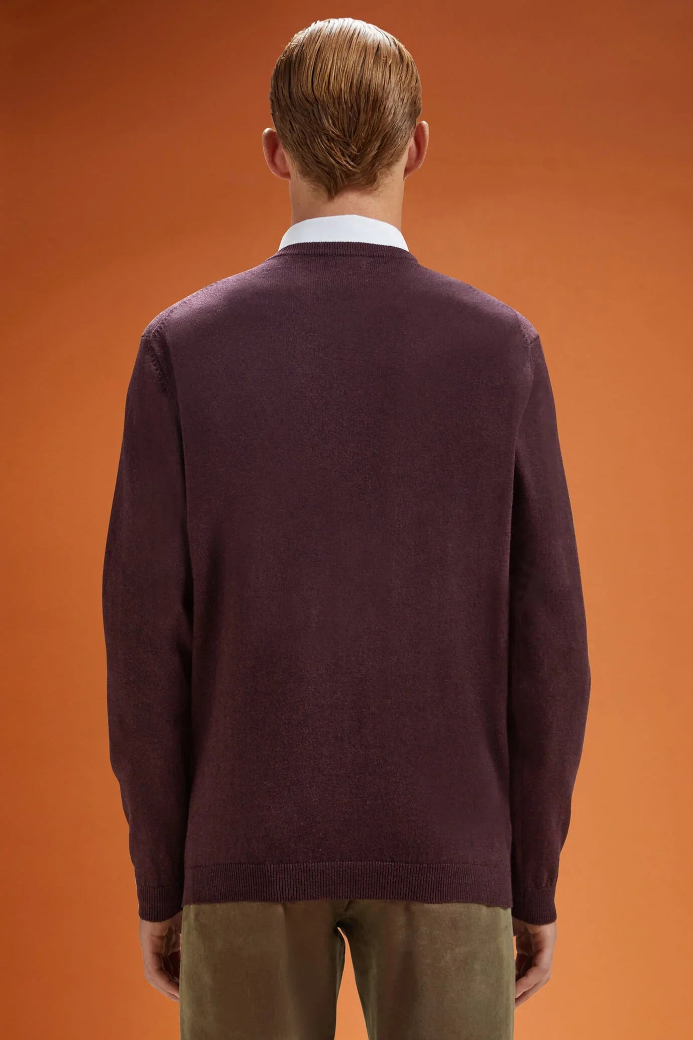 Men's regular fit V-neck jumper in wool and cotton