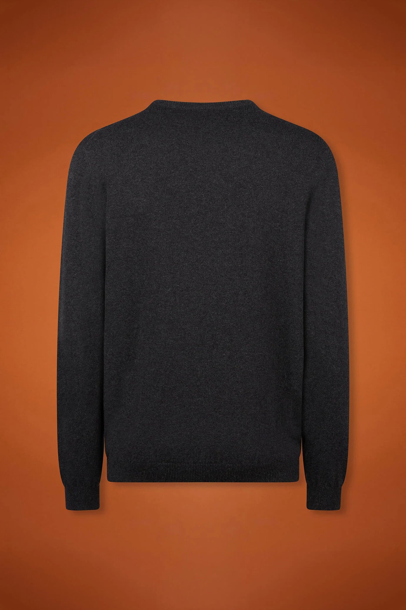 Men's regular fit V-neck jumper in wool and cotton