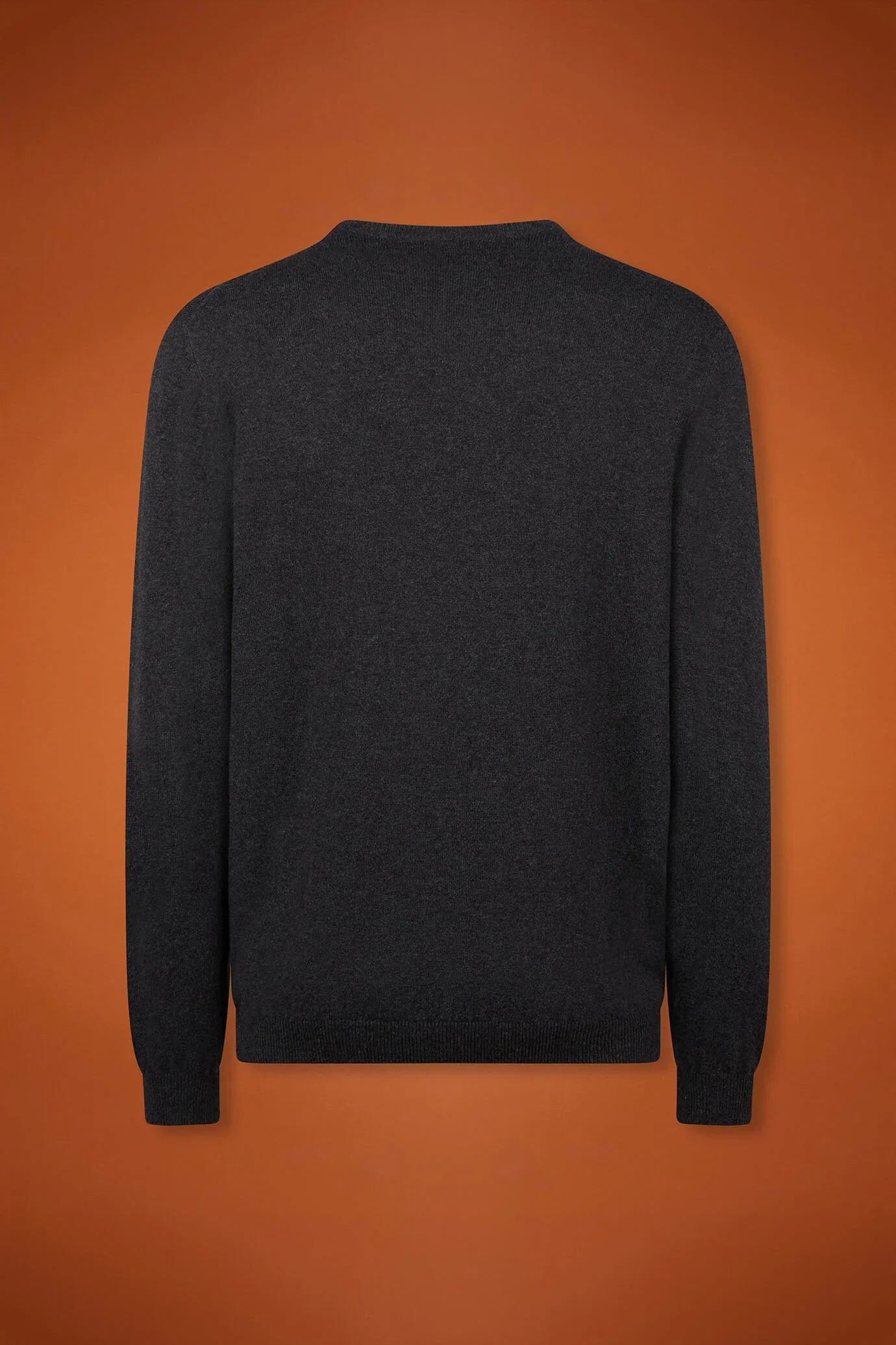 Men's regular fit V-neck jumper in wool and cotton