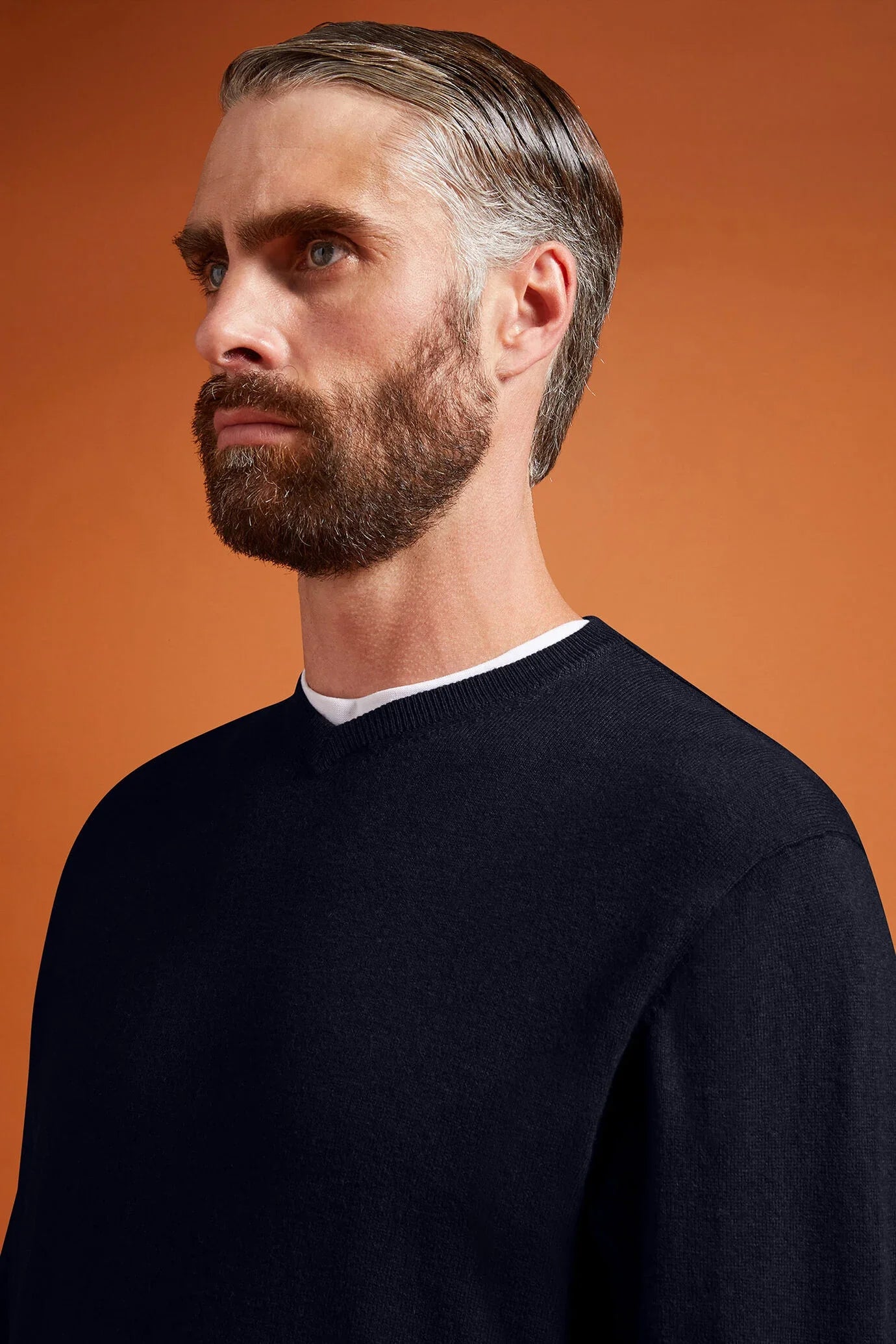 Men's regular fit V-neck jumper in wool and cotton