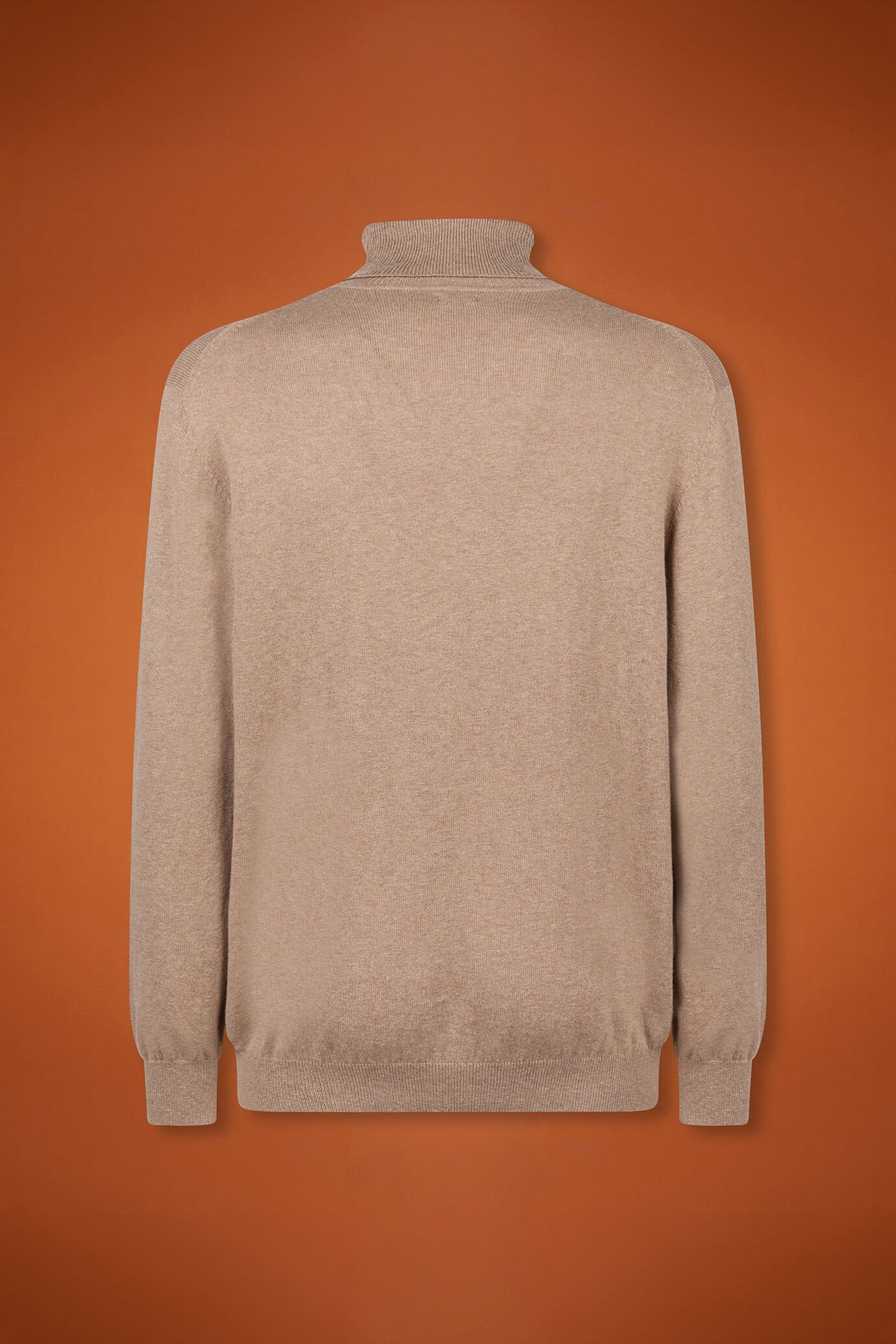 Men's regular fit turtleneck jumper in wool and cotton