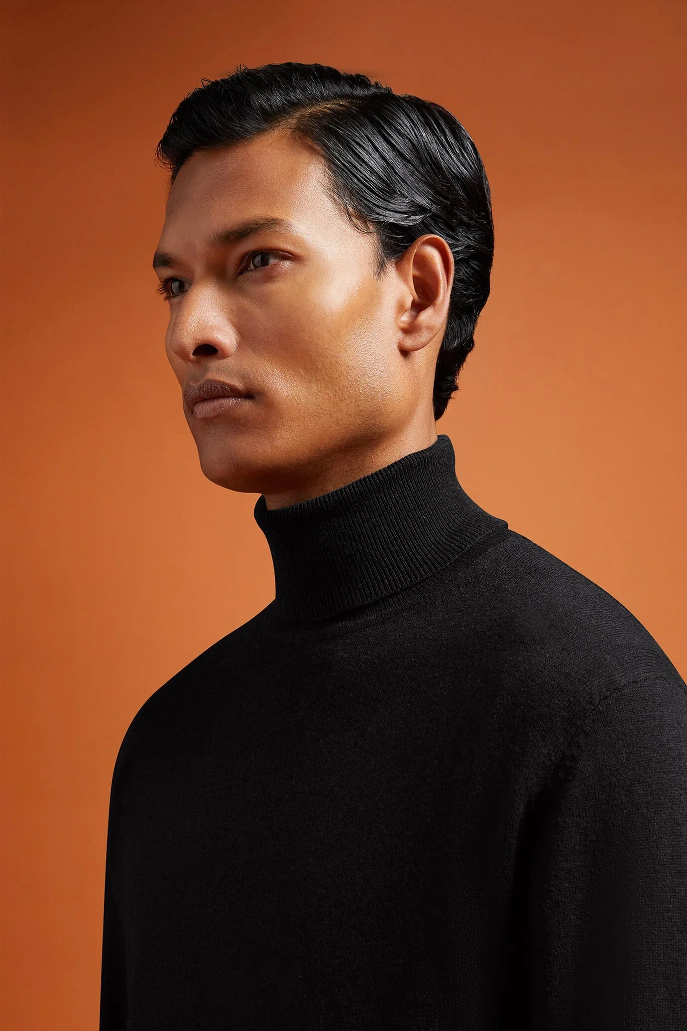 Men's regular fit turtleneck jumper in wool and cotton