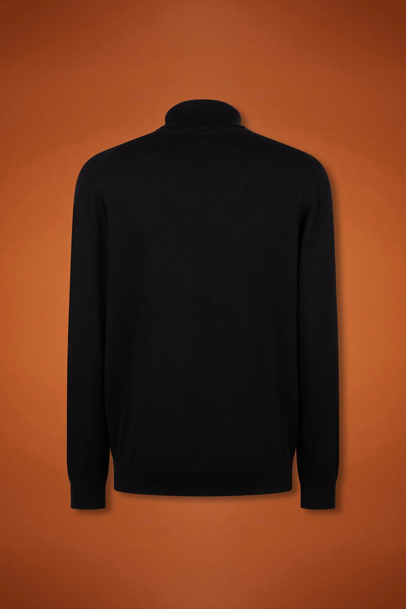 Men's regular fit turtleneck jumper in wool and cotton