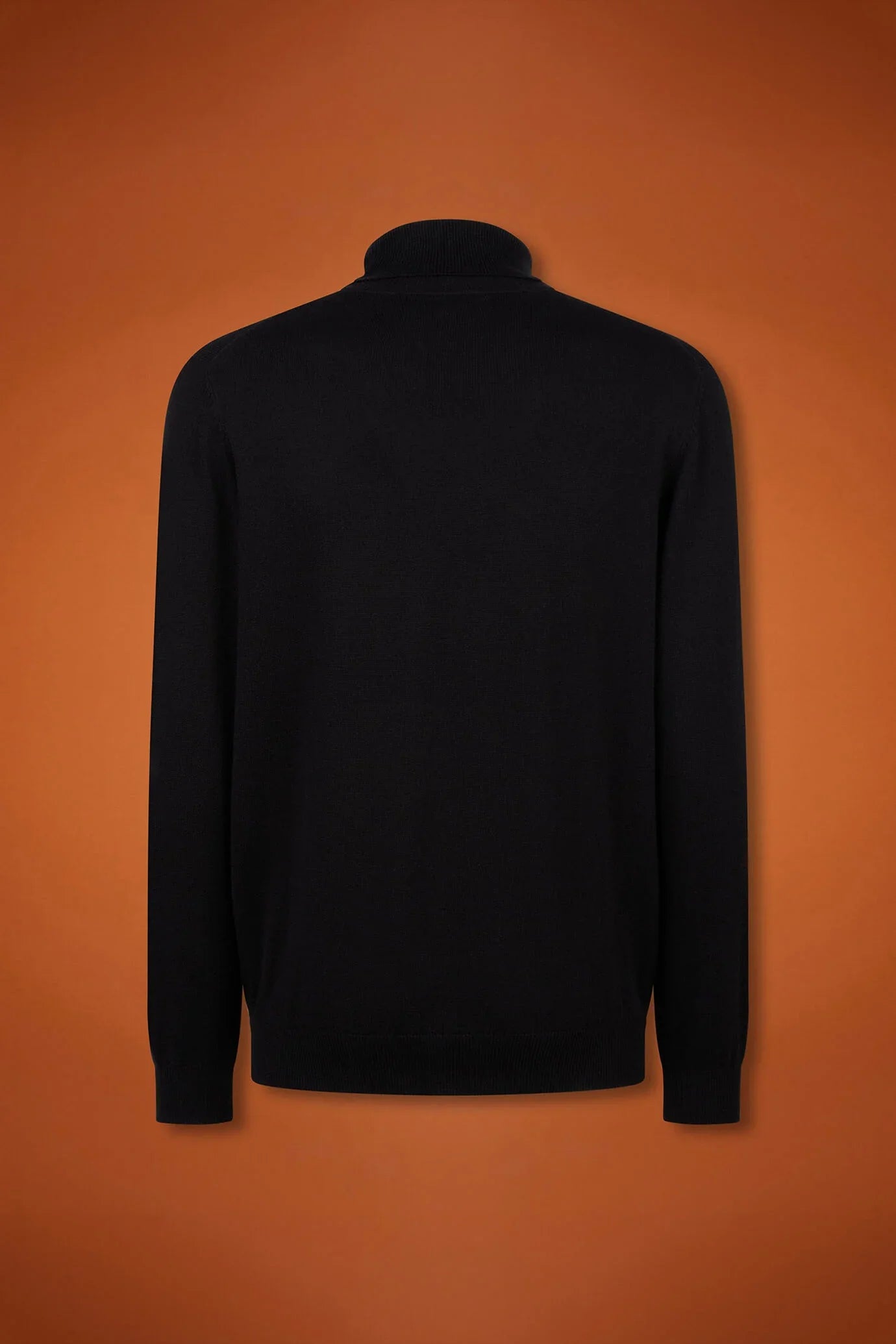Men's regular fit turtleneck jumper in wool and cotton