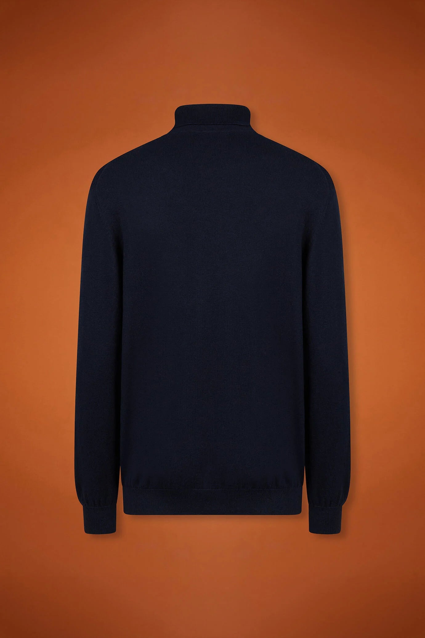 Men's regular fit turtleneck jumper in wool and cotton