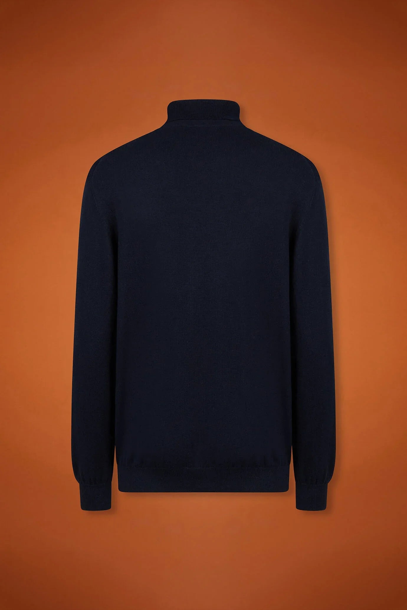 Men's regular fit turtleneck jumper in wool and cotton