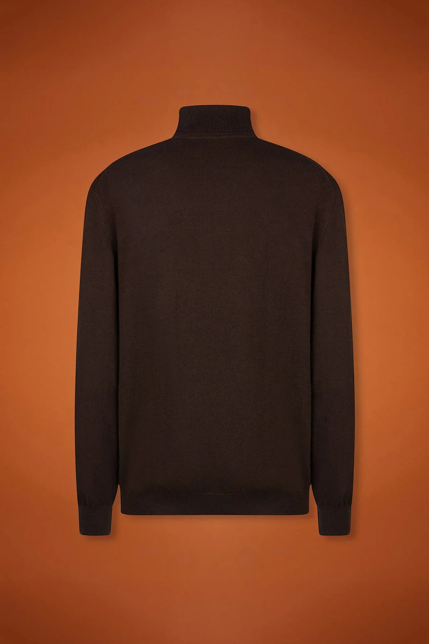 Men's regular fit turtleneck jumper in wool and cotton