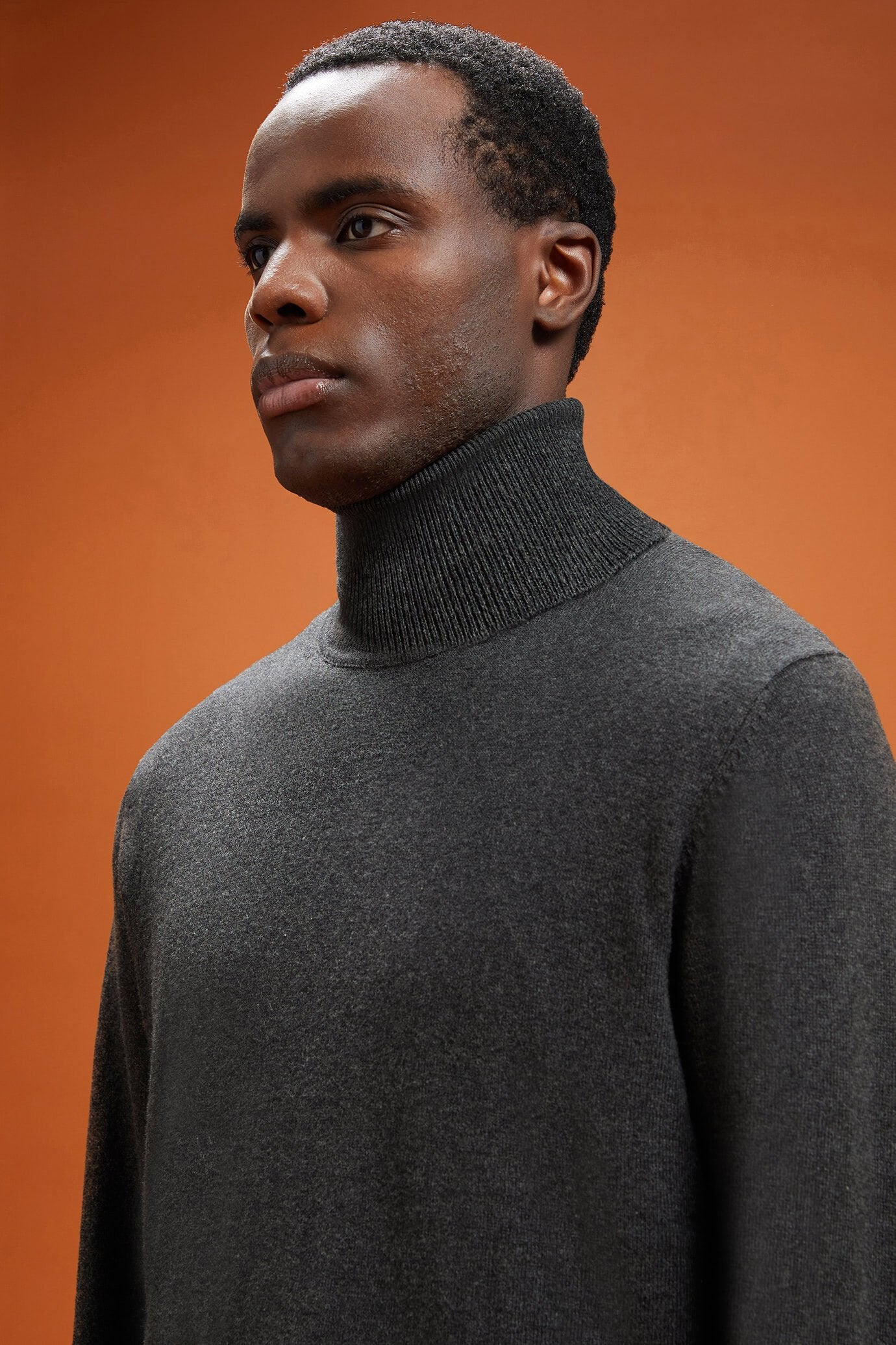 Men's regular fit turtleneck jumper in wool and cotton