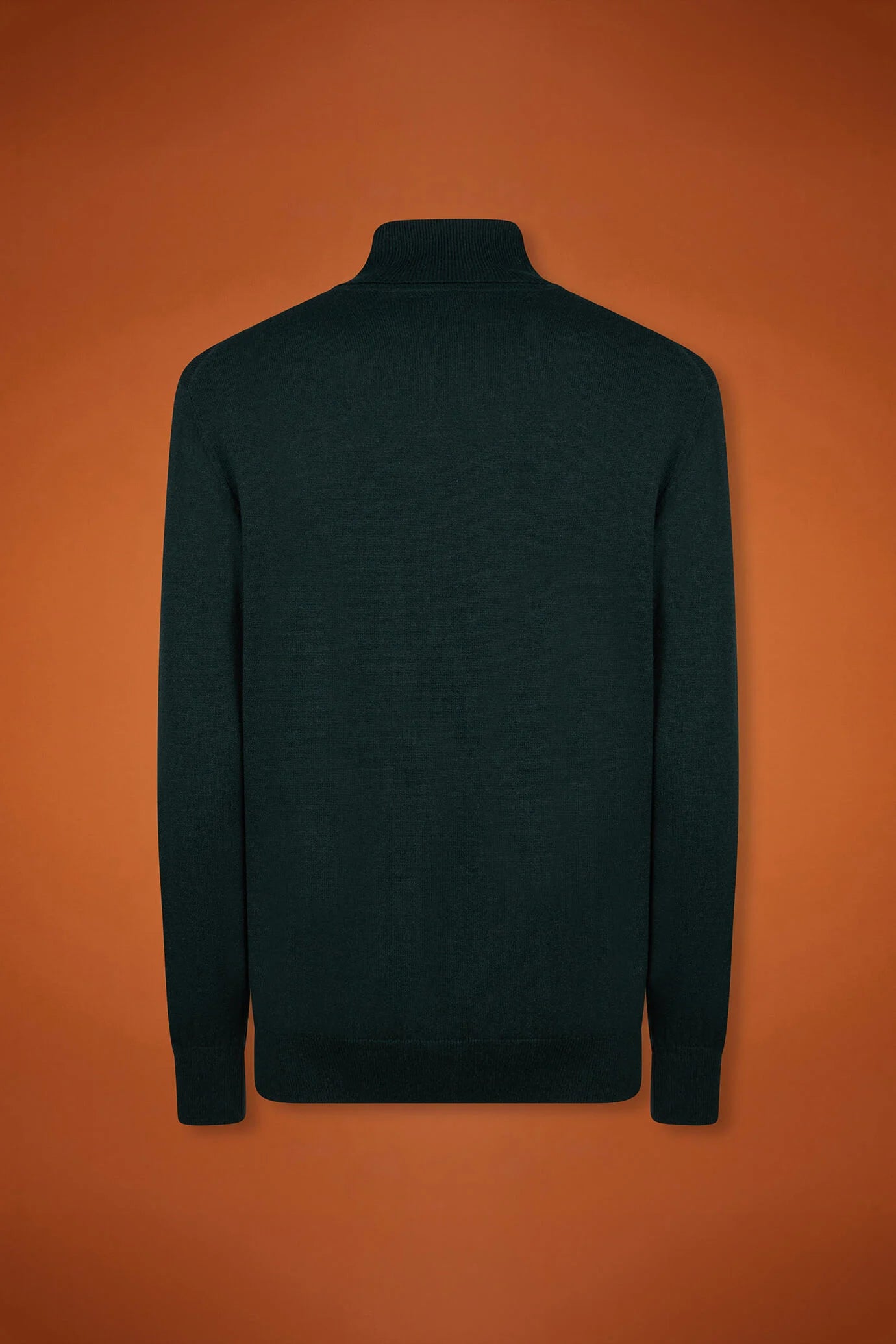 Men's regular fit turtleneck jumper in wool and cotton