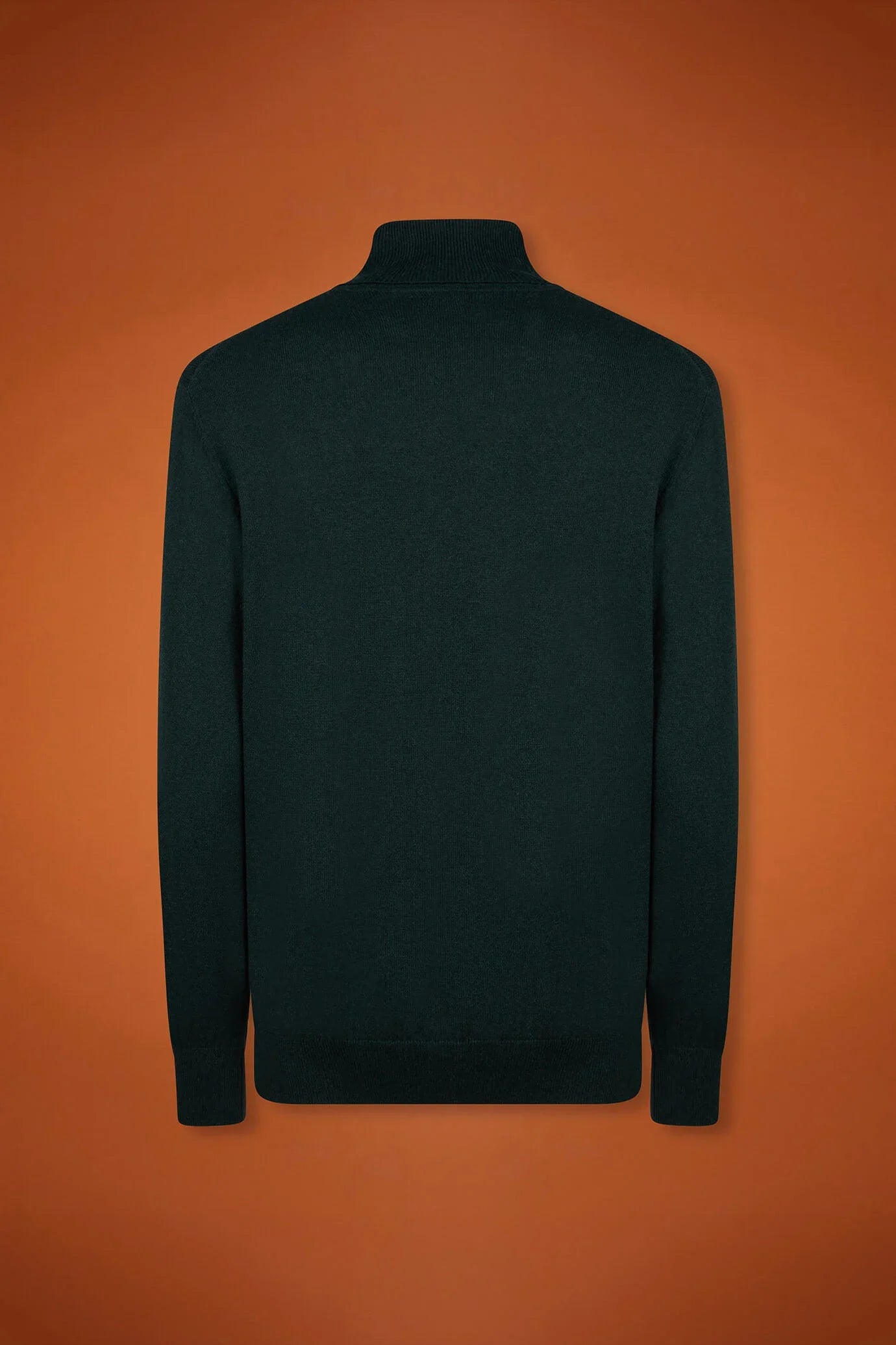 Men's regular fit turtleneck jumper in wool and cotton