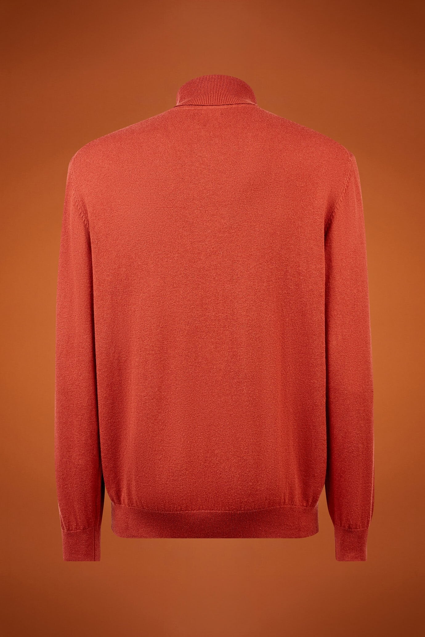 Men's regular fit turtleneck jumper in wool and cotton