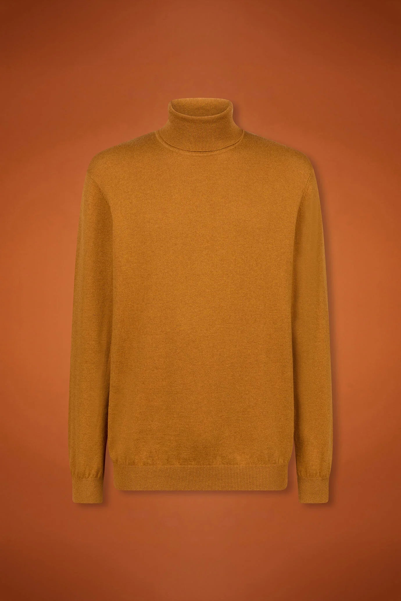 Men's regular fit turtleneck jumper in wool and cotton
