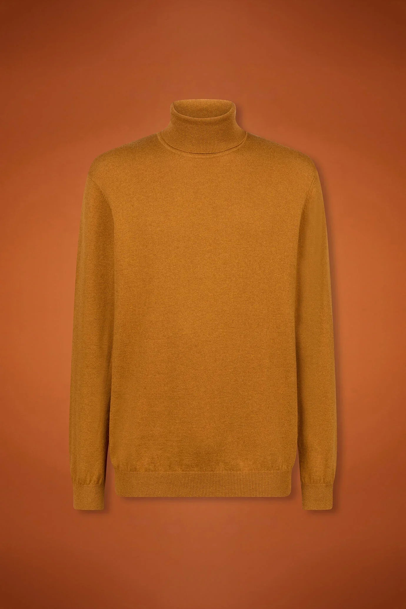 Men's regular fit turtleneck jumper in wool and cotton
