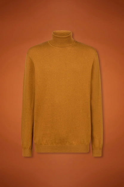 Men's regular fit turtleneck jumper in wool and cotton