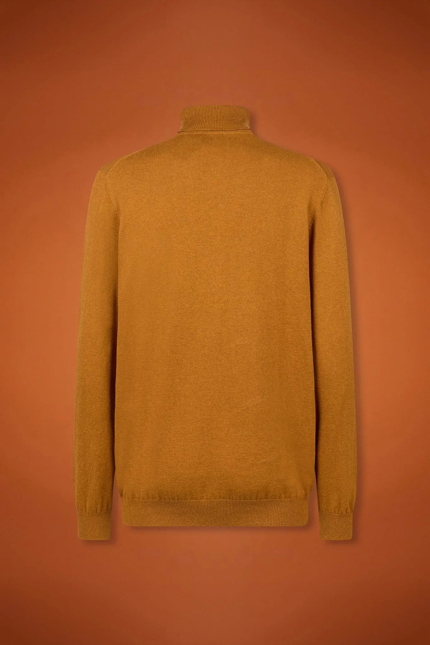 Men's regular fit turtleneck jumper in wool and cotton