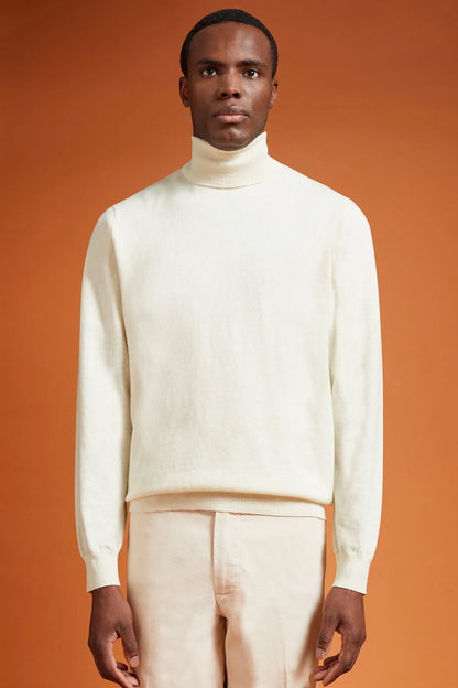 Men's regular fit turtleneck jumper in wool and cotton