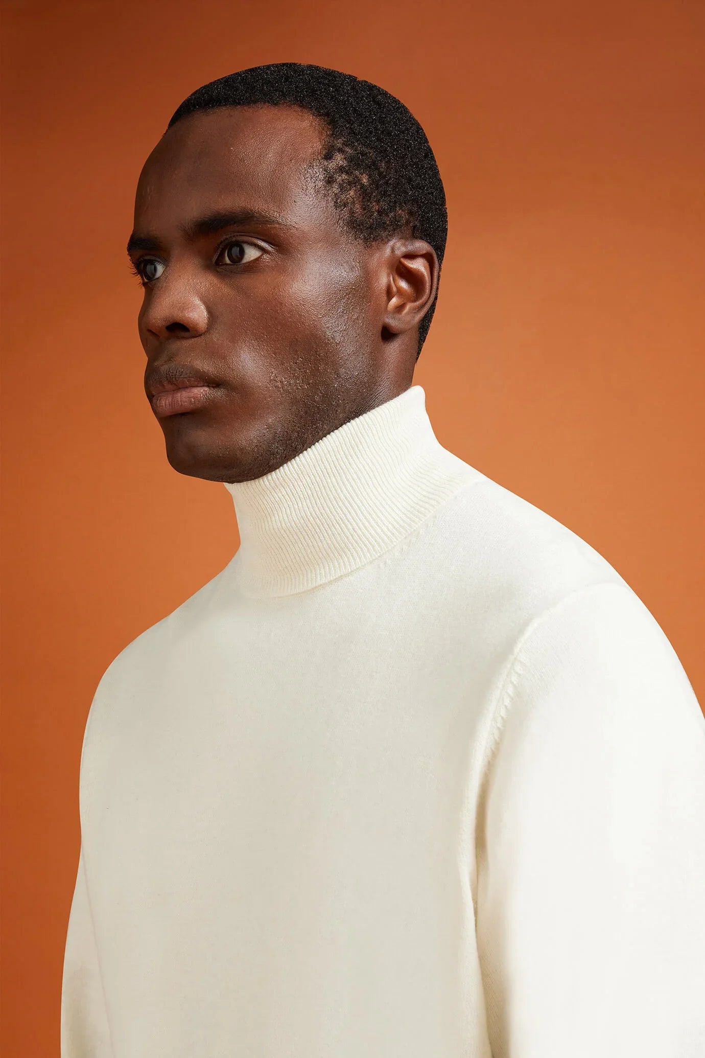 Men's regular fit turtleneck jumper in wool and cotton