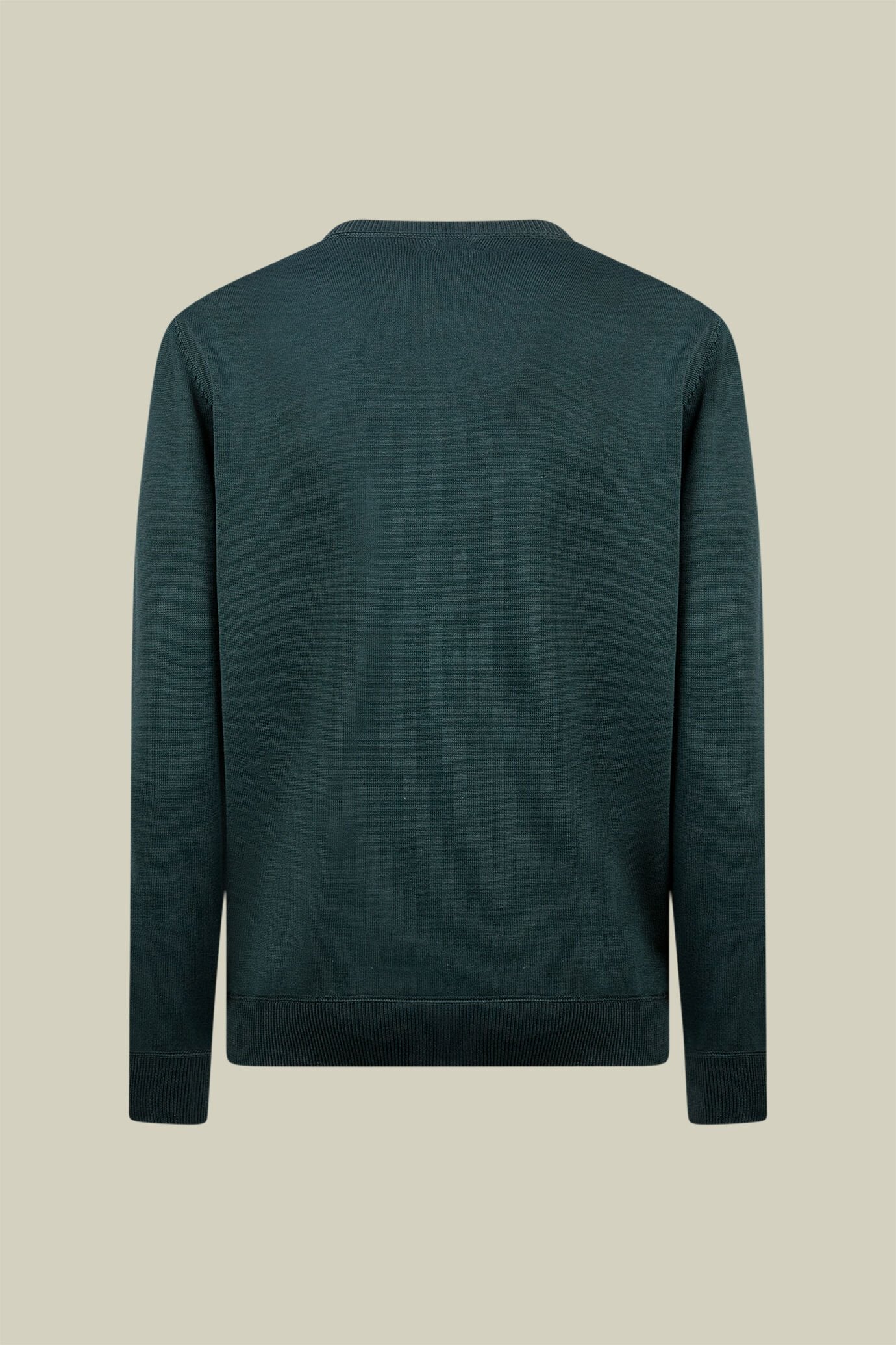 Men's regular fit crew neck jumper with plush effect details 100% cotton