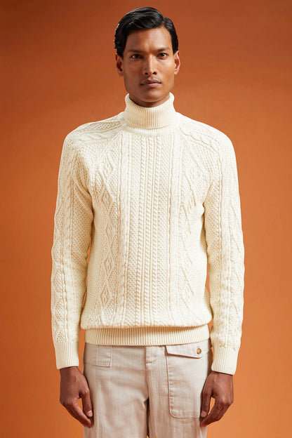 Men's regular fit cable knit jumper in 100% cotton with a high neck
