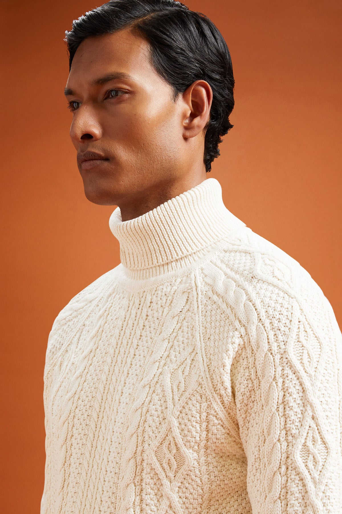 Men's regular fit cable knit jumper in 100% cotton with a high neck